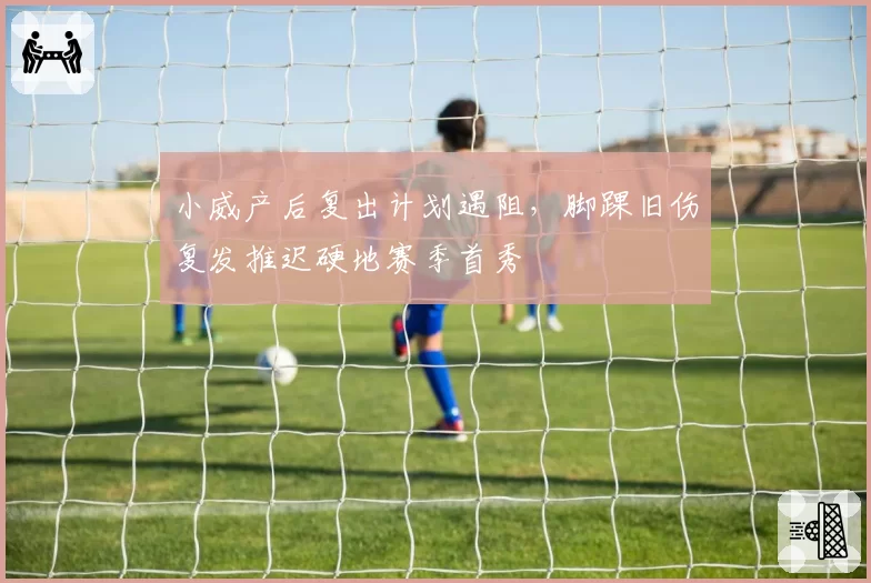 小威产后复出计划遇阻，脚踝旧伤复发推迟硬地赛季首秀