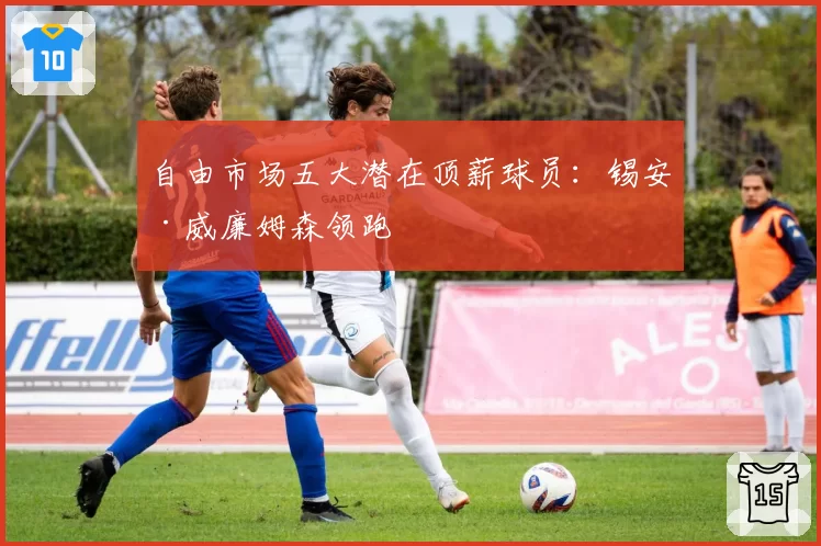 自由市场五大潜在顶薪球员：锡安·威廉姆森领跑