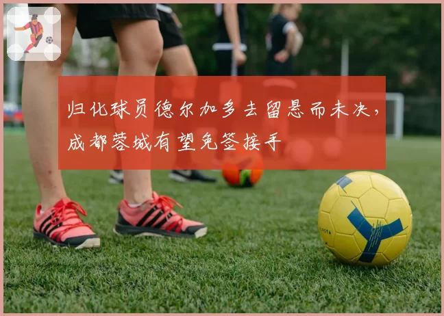 归化球员德尔加多去留悬而未决，成都蓉城有望免签接手