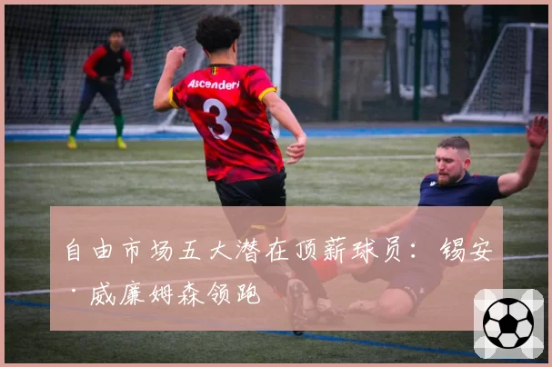自由市场五大潜在顶薪球员：锡安·威廉姆森领跑